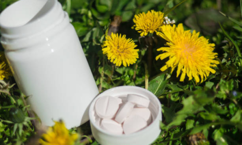 Dandelion Root supplement