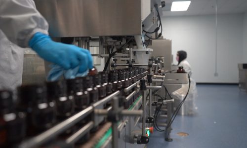 elderberry supplement manufacturer