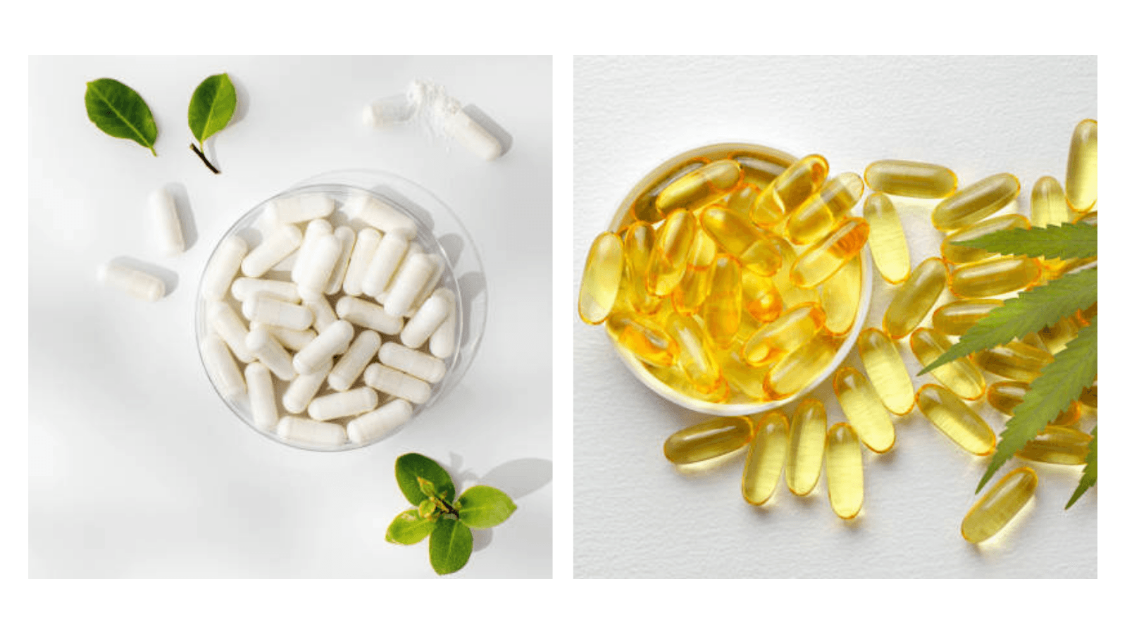 Supplement Forms Explained: Capsules, Tablets, Powders