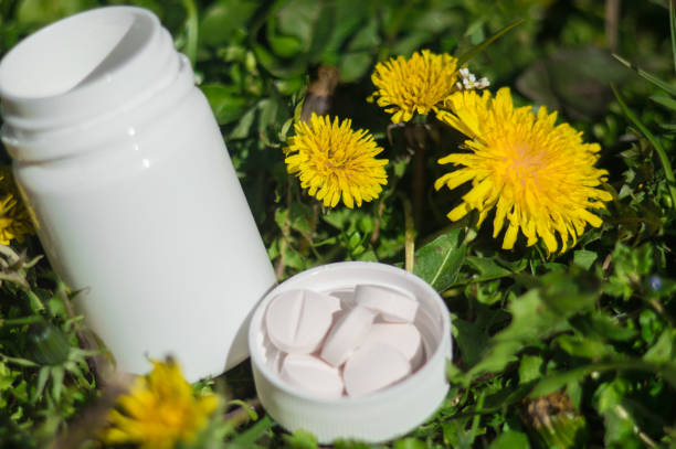Dandelion Root supplement